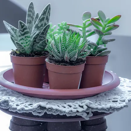 A&g Casa de hóspedes La Spezia