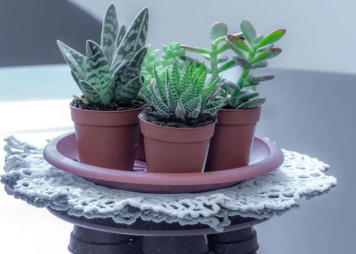 A&g Guest house La Spezia